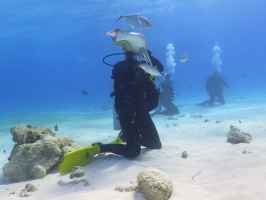 015 Steve at Stingray City IMG 5950